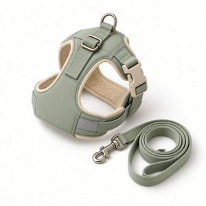 Quick-Release Reflective Harness - harness and leash on white background